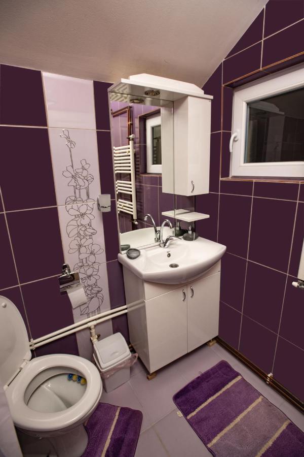 Apartmani Sp Jovanovic Crni Vrh Εξωτερικό φωτογραφία